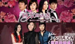 回家的绣惑电视剧,归途之谜，情感纠葛的归家之旅